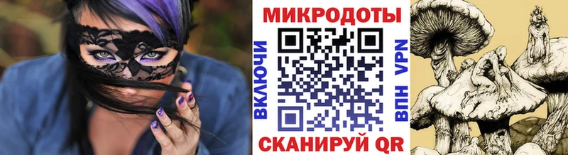 Галлюциногенные грибы Magic Shrooms  гидра онион  Салехард 